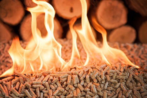 wat is het verschil tussen witte en bruine pellets